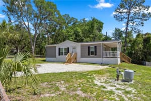 17360 65TH STREET, OCKLAWAHA, FL 32179 - MLS#MFROM722979