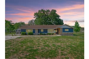 2405 157TH LANE ROAD, SUMMERFIELD, FL 34491 - MLS#MFROM722989