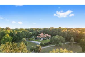 22620 HIGHWAY 441 N, MICANOPY, FL 32667 - MLS#MFROM723005
