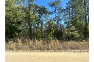 0000 8TH PLACE, OCALA, FL 34481 - MLS#MFROM723020
