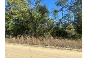 0000 8TH PLACE, OCALA, FL 34481 - MLS#MFROM723020