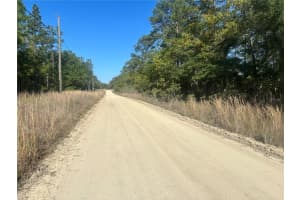 0000 8TH PLACE, OCALA, FL 34481 - MLS#MFROM723020