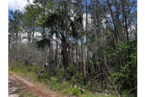 00 KOLA ROAD, NEW SMYRNA BEACH, FL 32168 - MLS#MFROM723043