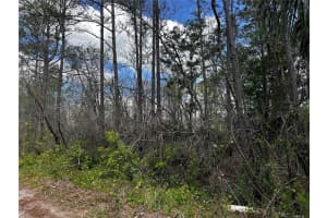 00 KOLA ROAD, NEW SMYRNA BEACH, FL 32168 - MLS#MFROM723043