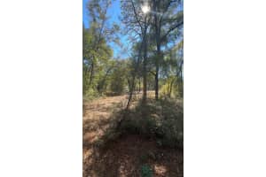 TBD 45TH CIRCLE, OCALA, FL 34474 - MLS#MFROM723056