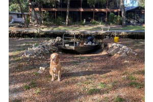 14272 SUTTON COURT, CRYSTAL RIVER, FL 34429 - MLS#MFROM723066