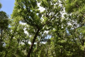 1859 46TH CIRCLE, HIGH SPRINGS, FL 32643 - MLS#MFROM723091