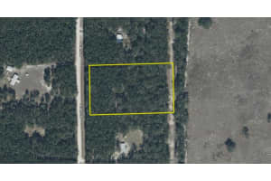 1859 46TH CIRCLE, HIGH SPRINGS, FL 32643 - MLS#MFROM723091