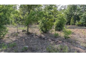 Lot 88 152 ND COURT, OCALA, FL 34481 - MLS#MFROM723093