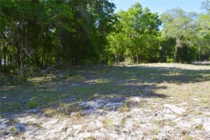 TBD 34 STREET, OCALA, FL 34481 - MLS#MFROM723121