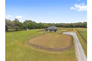 16201 162ND TERRACE, WILLISTON, FL 32696 - MLS#MFROM723168