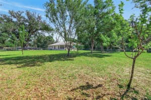 3070 LAUREL STREET, LECANTO, FL 34461 - MLS#MFROM723248
