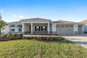 8553 99TH CIRCLE, OCALA, FL 34481 - MLS#MFROM723303