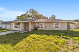 33 PECAN RUN PASS, OCALA, FL 34472 - MLS#MFROM723320