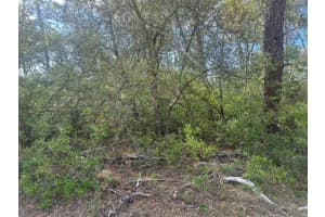 Lot 6 170TH PLACE, OCALA, FL 34473 - MLS#MFROM723345