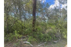 Lot 6 170TH PLACE, OCALA, FL 34473 - MLS#MFROM723345