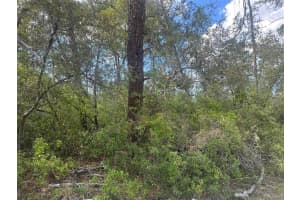 Lot 6 170TH PLACE, OCALA, FL 34473 - MLS#MFROM723345