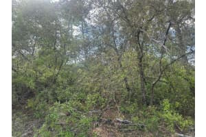 Lot 6 170TH PLACE, OCALA, FL 34473 - MLS#MFROM723345