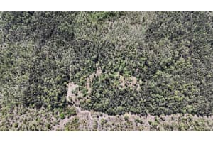 16840 JOZACH DRIVE, NAPLES, FL 34120 - MLS#MFROM723403