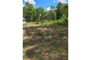 10679 110TH COURT, DUNNELLON, FL 34432 - MLS#MFROM723426