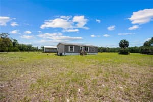 2691 NW COUNTY ROAD 345, CHIEFLAND, FL 32626 - MLS#MFROM723449