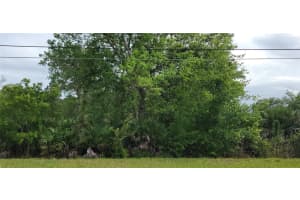 RALSTON ST, ORLANDO, FL 32833 - MLS#MFROM723494