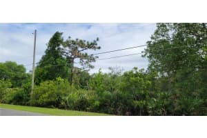 RALSTON ST, ORLANDO, FL 32833 - MLS#MFROM723494