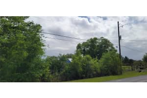 RALSTON ST, ORLANDO, FL 32833 - MLS#MFROM723494