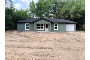 3205 SE 143RD LANE, SUMMERFIELD, FL 34491 - MLS#MFROM723521