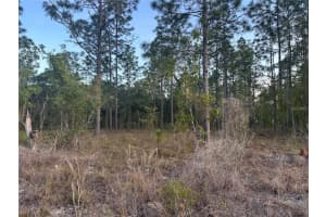 LOT 3 NW AMBERJACK AVE., DUNNELLON, FL 34431 - MLS#MFROM723561