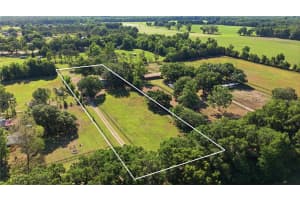 8495 33RD COURT, ANTHONY, FL 32617 - MLS#MFROM723576