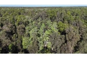 0, NAPLES, FL 34119 - MLS#MFROM723581