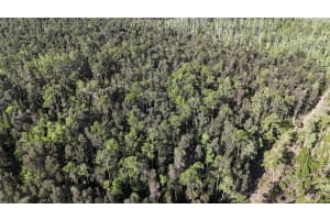 0, NAPLES, FL 34119 - MLS#MFROM723581