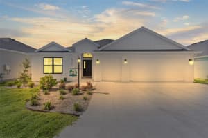 6676 ROBINETTE RUN, THE VILLAGES, FL 34762 - MLS#MFROM723585