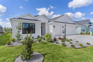6676 ROBINETTE RUN, THE VILLAGES, FL 34762 - MLS#MFROM723585