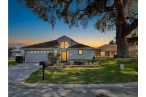 17552 119TH CIRCLE, SUMMERFIELD, FL 34491 - MLS#MFROM723595