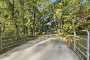 7850 178TH TERRACE, WILLISTON, FL 32696 - MLS#MFROM723598