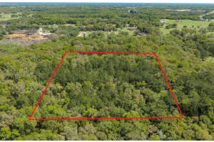 NW 38TH AVENUE RD, OCALA, FL 34482 - MLS#MFROM723614