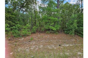 1681 SKYLINE DRIVE, DUNNELLON, FL 34434 - MLS#MFROM723617