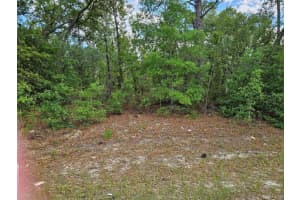 9440 OLD MILL WAY, DUNNELLON, FL 34434 - MLS#MFROM723624