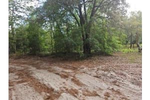 0 SW 90, DUNNELLON, FL 34432 - MLS#MFROM723646