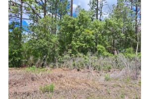0 125 COURT ROAD, DUNNELLON, FL 34432 - MLS#MFROM723657