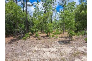 0 125 TERRACE, DUNNELLON, FL 34432 - MLS#MFROM723669