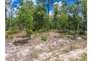 0 125 TERRACE, DUNNELLON, FL 34432 - MLS#MFROM723669