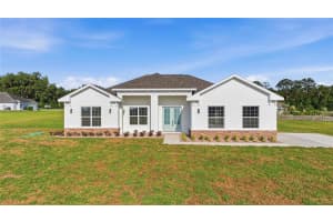 2091 79TH LOOP, OCALA, FL 34475 - MLS#MFROM723671