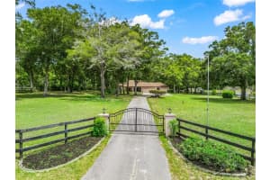 1325 73RD TERRACE, OCALA, FL 34482 - MLS#MFROM723678