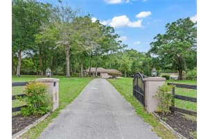 1325 73RD TERRACE, OCALA, FL 34482 - MLS#MFROM723678