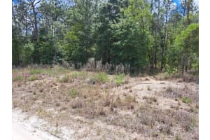 SW 89 ST, DUNNELLON, FL 34432 - MLS#MFROM723699