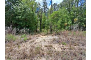 SW 89 ST, DUNNELLON, FL 34432 - MLS#MFROM723699