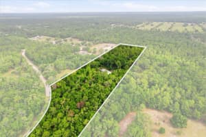 3883 165TH AVENUE ROAD, OCALA, FL 34481 - MLS#MFROM723751